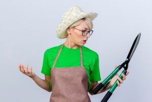 Садовая техника: обзор моделей и сферы применения